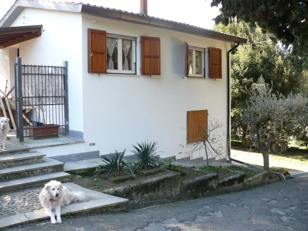 Villetta Aleanto Mentana Exterior photo
